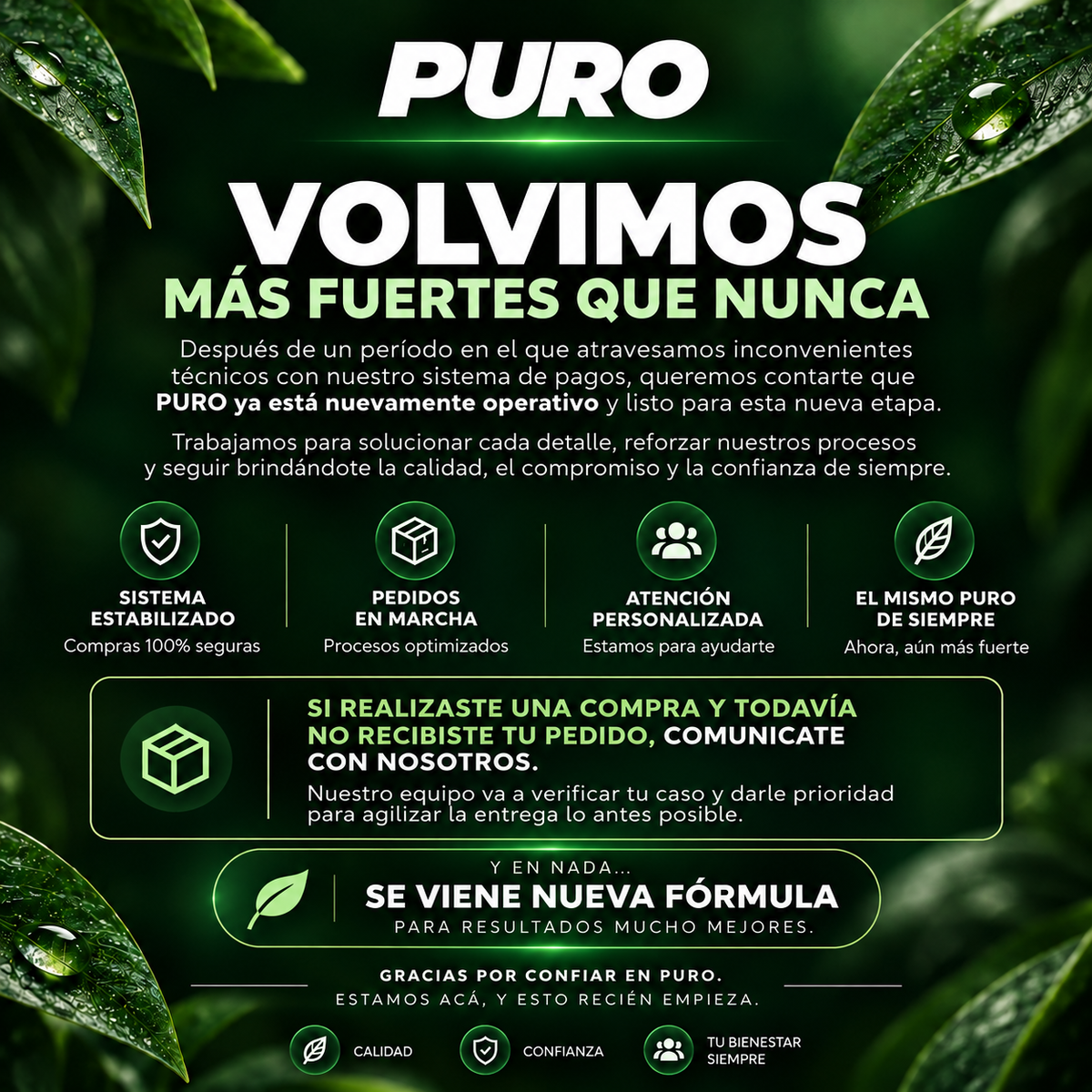 Cápsulas PURO® | El secreto para deshincharte de forma 100% natural y recuperar tu cuerpo de hombre.